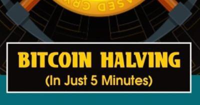 Bitcoin Halving Infographic