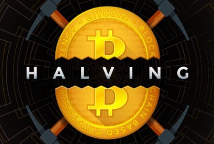 Bitcoin Halving Infographic
